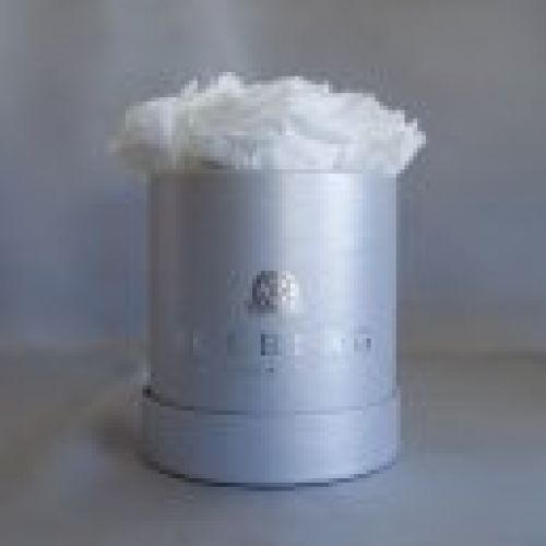 Caja muy pequeña Rosas Blancas