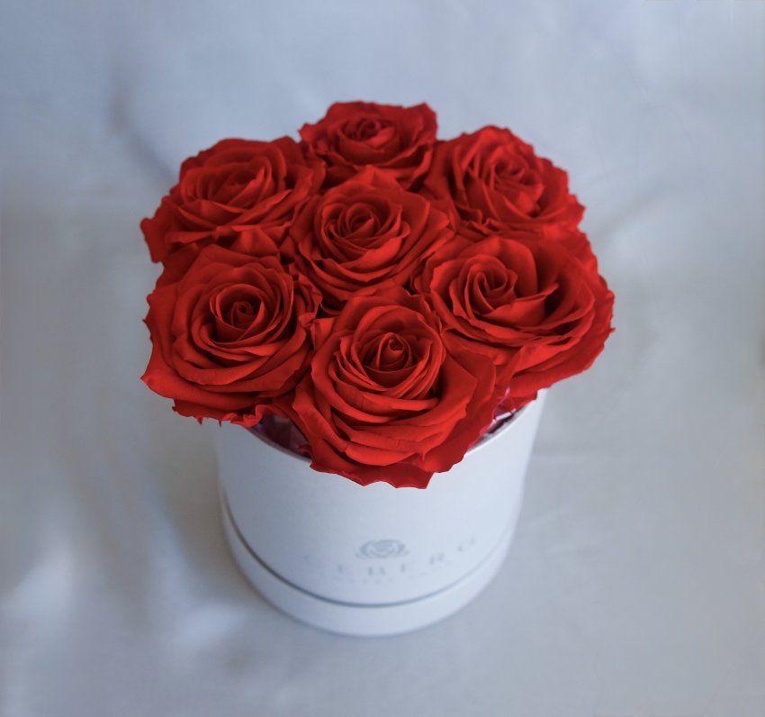 Caja pequeña de 7 Rosas Rojas