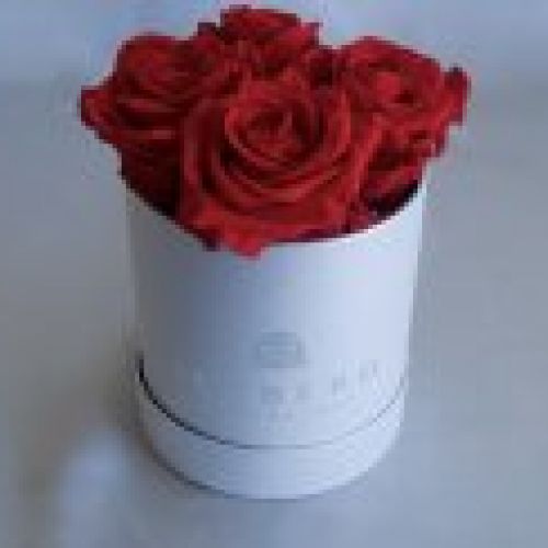 Caja muy pequeña Rosas Rojas