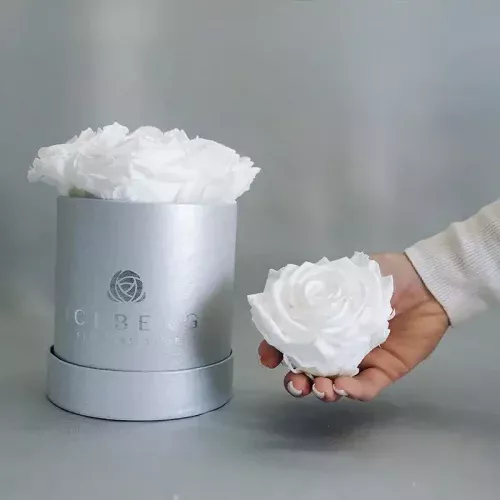 Qué son las flores preservadas