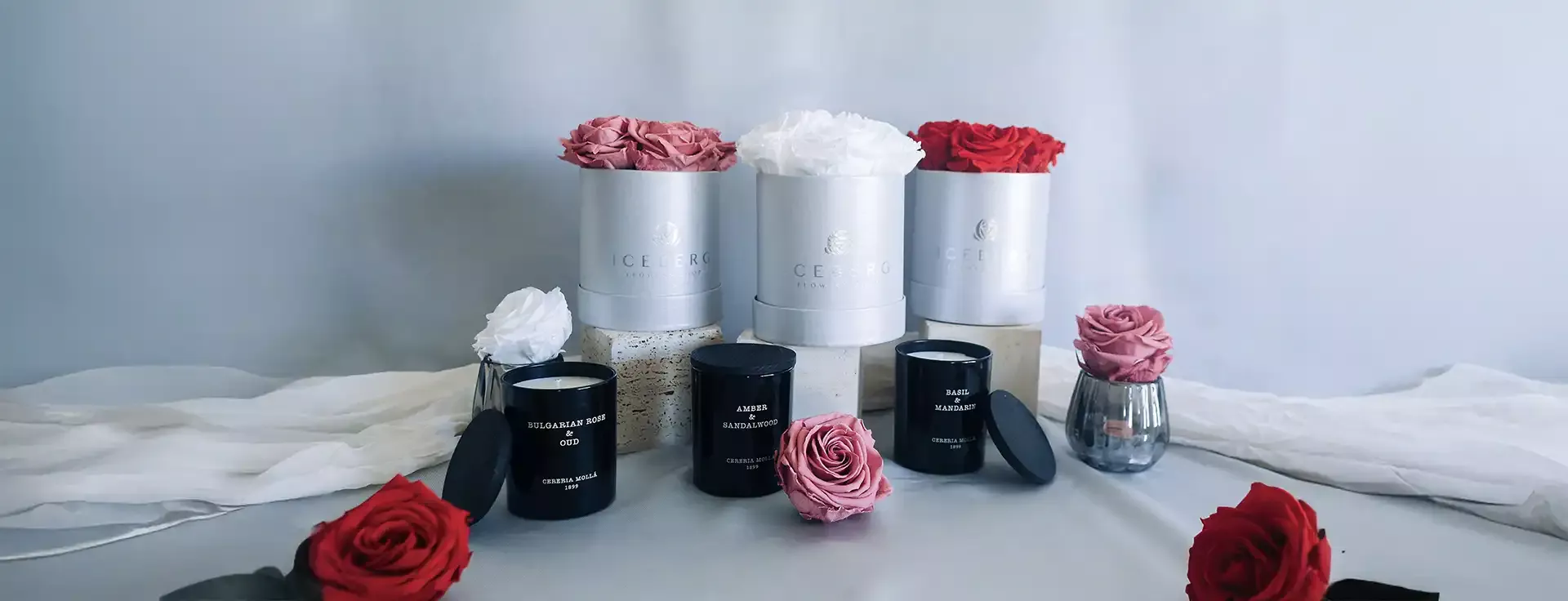 Iceberg Flowers