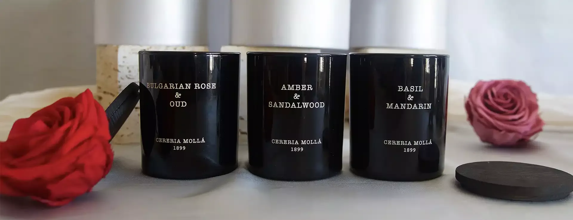 Consejos y cuidados para tus flores preservadas