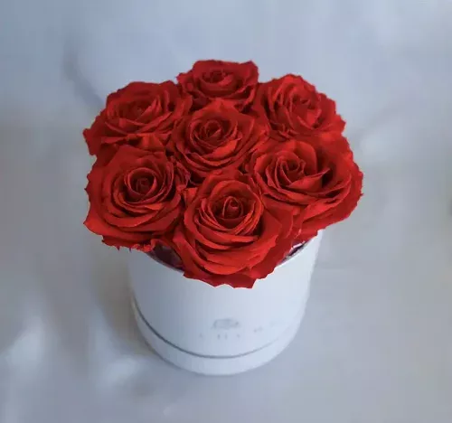 Cómo funciona la estabilización de flores