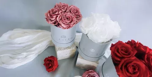 El cuidado de las flores preservadas