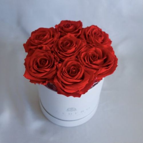 Caja pequeña de 7 Rosas Rojas